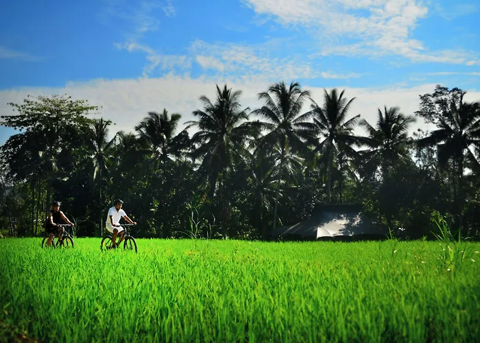Capella Ubud, Bali 5*