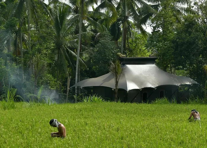 Capella Ubud, Bali Resort 5*